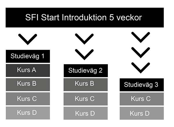 kursvägar sfi